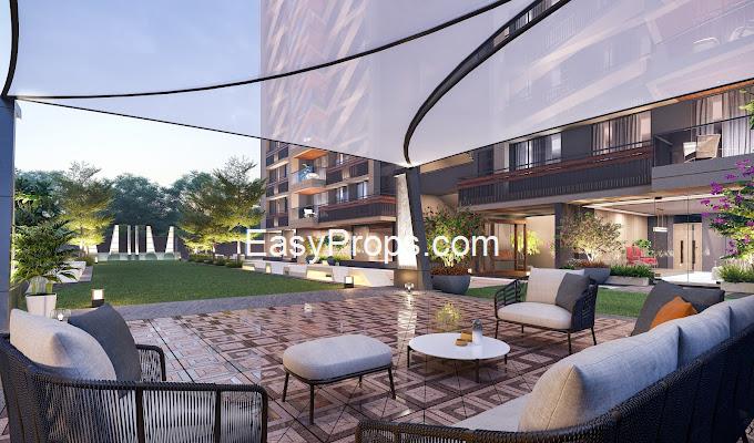 Ascent The Empiirean